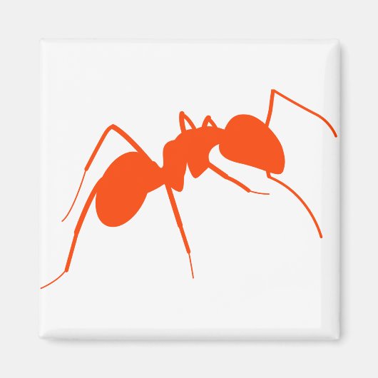 Aimant Ant orange (Devant)