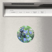 Aimant Ant & Violets (In Situ (Lave-vaisselle))