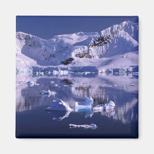 Aimant Antarctique, baie du Paradis (Devant)