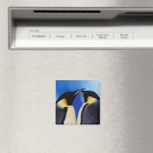 Aimant Antarctique, Empereur Penguins (In Situ (Lave-vaisselle))