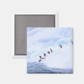 Aimant Antarctique, péninsule Antarctique. Gorget (Recto/Verso)