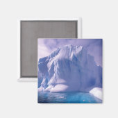 Aimant Antarctique. Sauvages de glace antarctique (Recto/Verso)