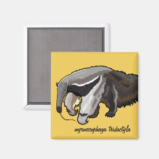 Aimant anteater géant (Recto/Verso)