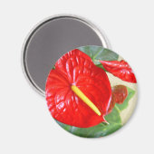 Aimant Anthurium (Recto/Verso)