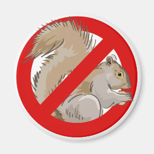 Aimant Anti-Squirrel