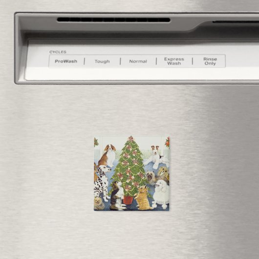 Aimant Anticipation (In Situ (Lave-vaisselle))