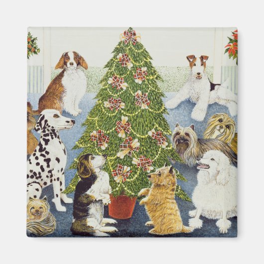 Aimant Anticipation (Devant)