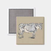 Aimant Antique Cow Skeleton Bones (Recto/Verso)