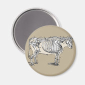 Aimant Antique Cow Skeleton Bones (Recto/Verso)