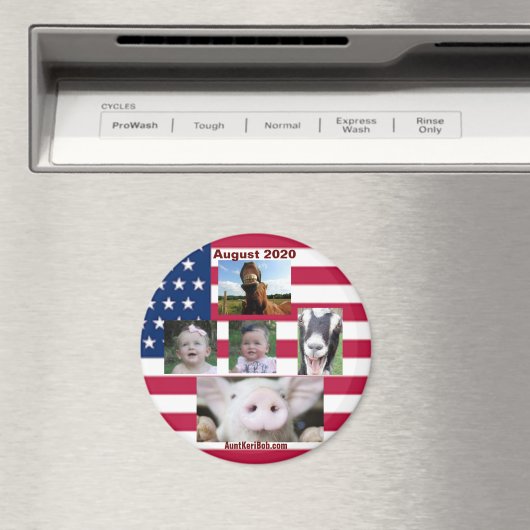 Aimant Août 2020 (In Situ (Lave-vaisselle))