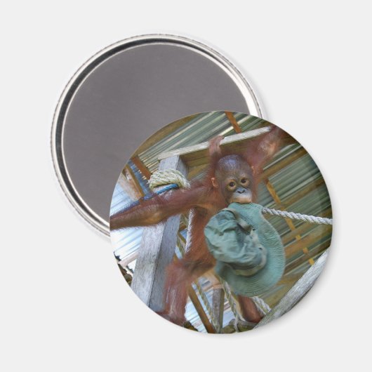 Aimant Ape for Green (Recto/Verso)