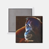 Aimant Apes rouges d'Orangutan en voie de disparition Mag (Recto/Verso)