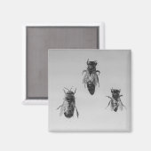 Aimant Apiariste de l'abeille de la reine Drone (Recto/Verso)