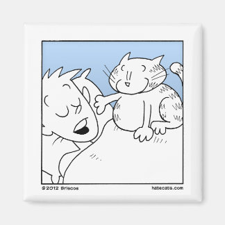 Aimant Appel de réveil de chat