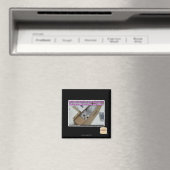 Aimant Appelez 1-800-LOLCATS (In Situ (Lave-vaisselle))