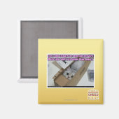 Aimant Appelez 1-800-LOLCATS (Recto/Verso)