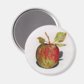 Aimant Apple (Recto/Verso)