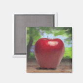 Aimant Apple (Recto/Verso)