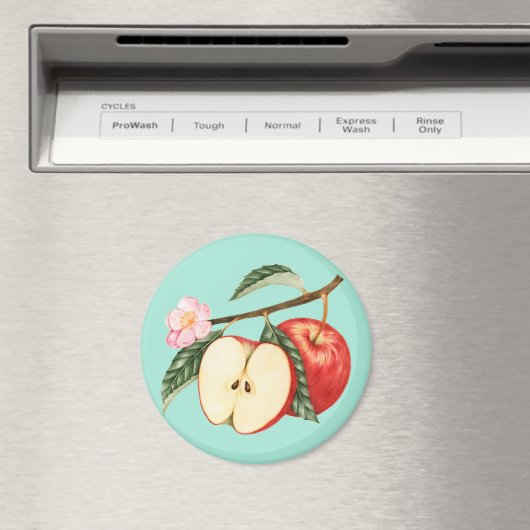 Aimant Apple (In Situ (Lave-vaisselle))