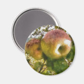 Aimant Apple (Recto/Verso)