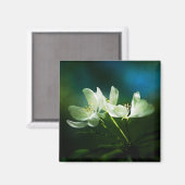 Aimant Apple Blossom - Deux Fleurs (Recto/Verso)