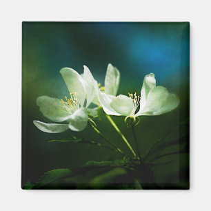 Aimant Apple Blossom - Deux Fleurs