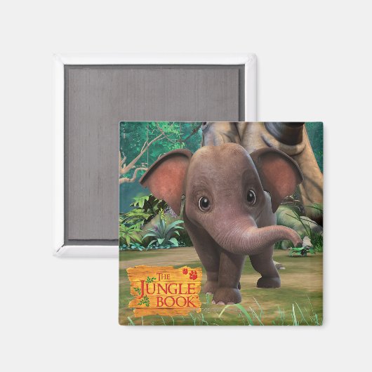 Aimant Appu (Recto/Verso)