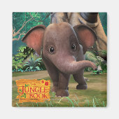 Aimant Appu (Devant)