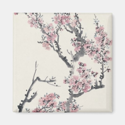 Aimant Apricot (Devant)