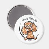 Aimant Apricot Jouet Miniature Poodle IAAM (Recto/Verso)