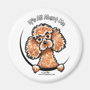 Aimant Apricot Jouet Miniature Poodle IAAM
