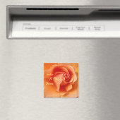 Aimant Apricot Peach Rose Flower Close Up (In Situ (Lave-vaisselle))