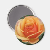 Aimant Apricot Rose (Recto/Verso)