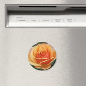 Aimant Apricot Rose (In Situ (Lave-vaisselle))