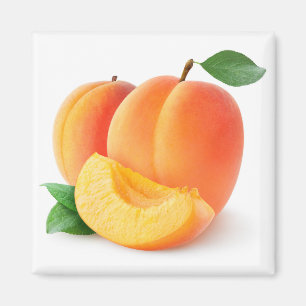Aimant Apricots frais
