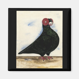 Aimant Aquarelle Barb Pigeon