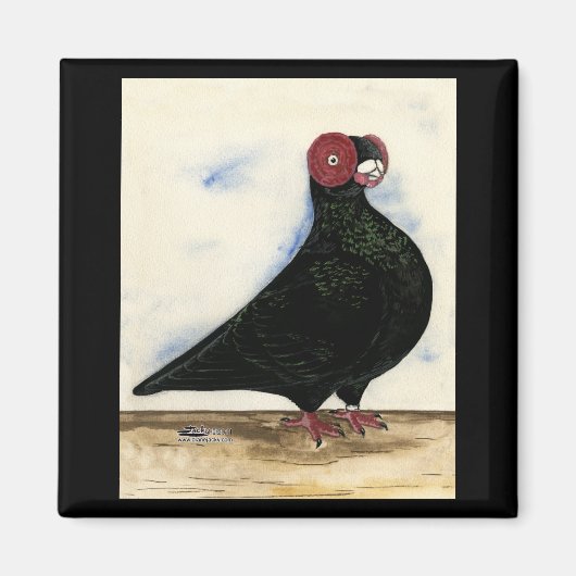 Aimant Aquarelle Barb Pigeon (Devant)