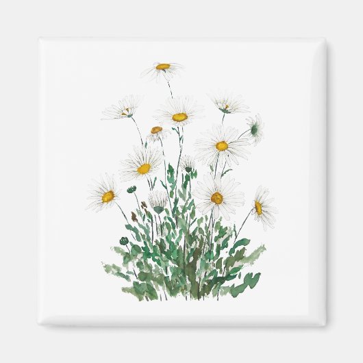 Aimant aquarelle blanche Margaret daisy (Devant)