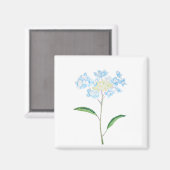 Aimant aquarelle bleu hydrangea (Recto/Verso)