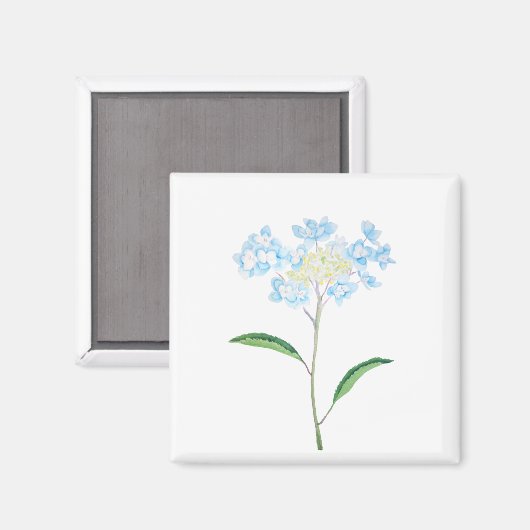 Aimant aquarelle bleu hydrangea (Recto/Verso)