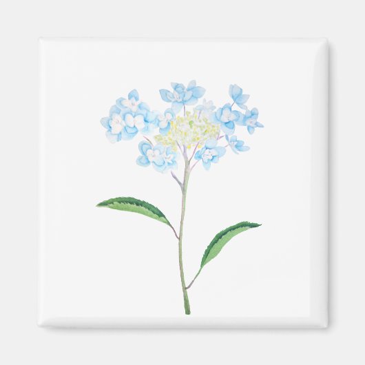 Aimant aquarelle bleu hydrangea (Devant)