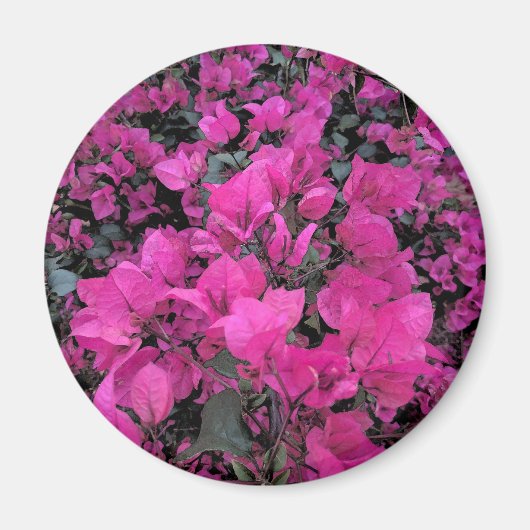 Aimant Aquarelle-Bougainvilliers (Devant)