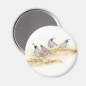 Aimant Aquarelle Californie, Oiseau, Nature, Animal (Recto/Verso)