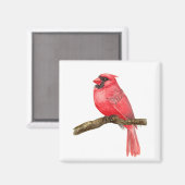 Aimant Aquarelle cardinale (Recto/Verso)