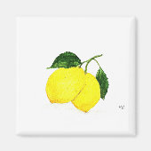 Aimant Aquarelle citrons fruits cuisine décor chic rustiq (Devant)