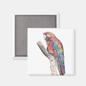 Aimant Aquarelle colorée de perroquet macaw (Recto/Verso)