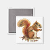 Aimant Aquarelle Cute Écureuil rouge Nature animale (Recto/Verso)