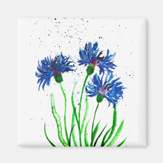 Aimant Aquarelle de Cornflowers (Devant)