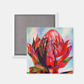 Aimant Aquarelle de fleurs indigènes de Waratah (Recto/Verso)