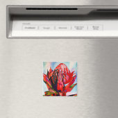 Aimant Aquarelle de fleurs indigènes de Waratah (In Situ (Lave-vaisselle))